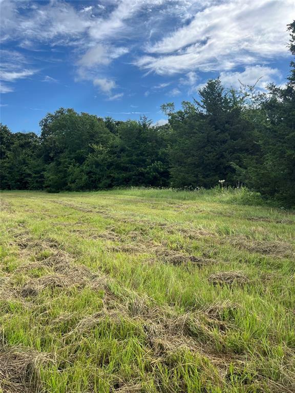 Property Photo: Tbd County Road 4574 TX 75482