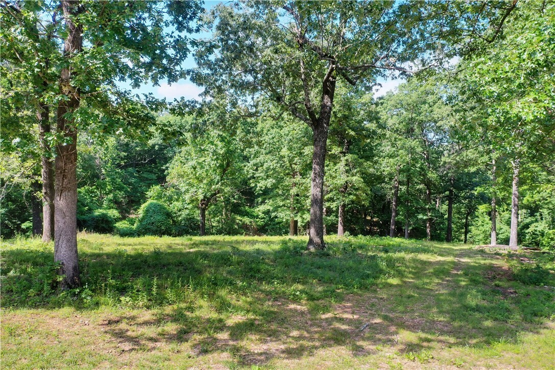 Property Photo: Lot 10 Oak Leaf Drive AR 72601