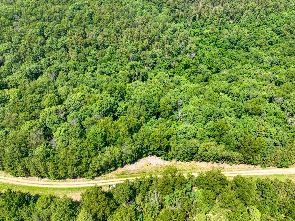 Property Photo: Pine Ridge Lane / C Street AR 72631