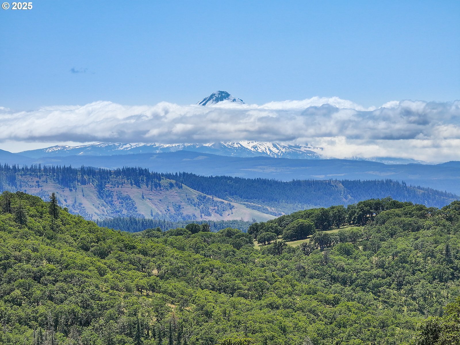 Property Photo: 18 Hartwig Rd WA 98635
