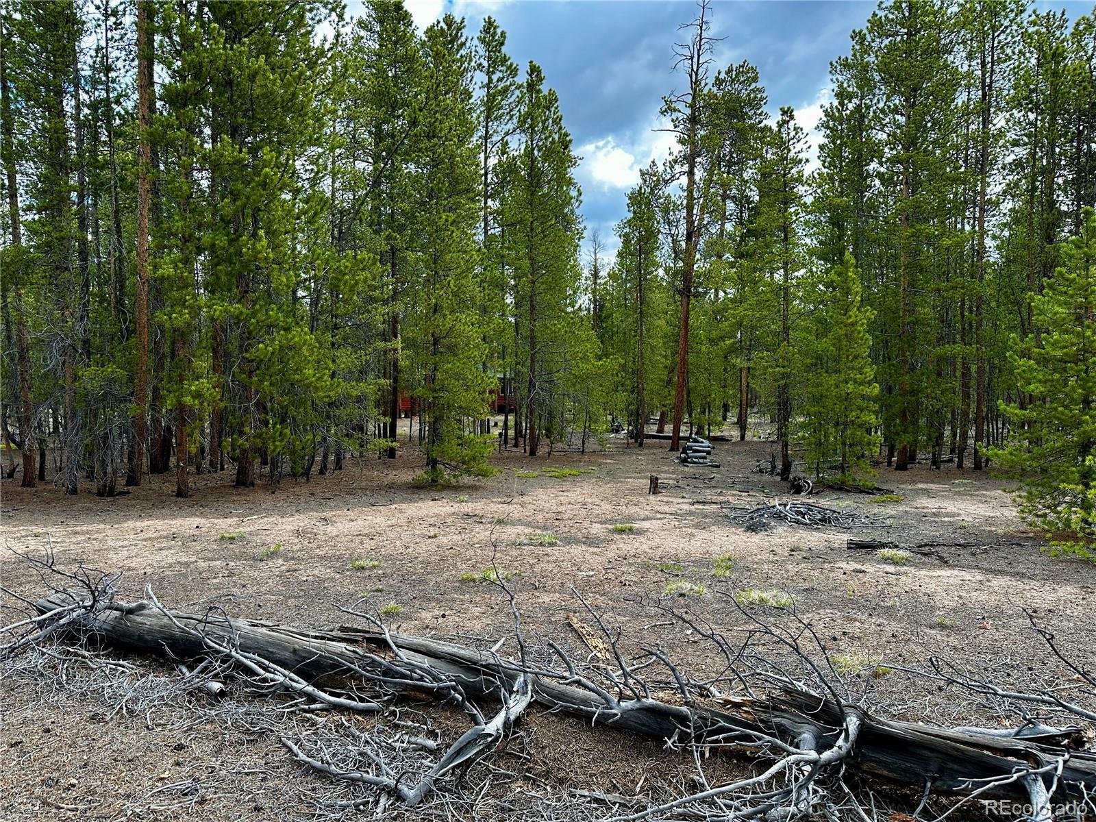 Property Photo: 644 Birch Drive CO 80461