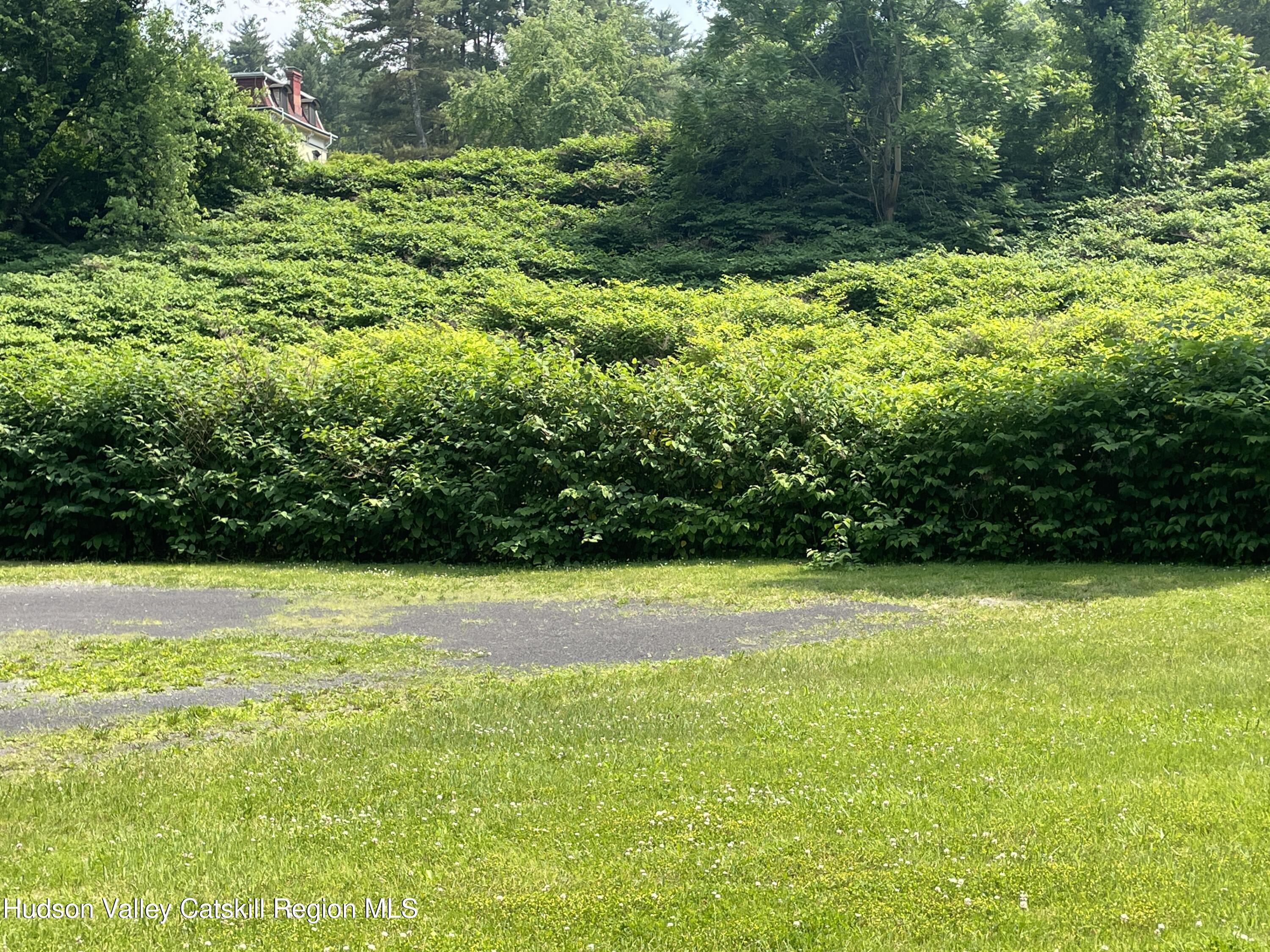 Property Photo: 26-58 Brook NY 12401