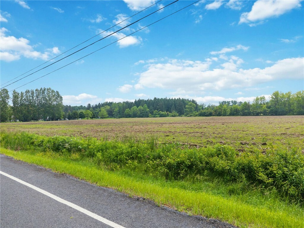 Property Photo: 0 Perry City Road NY 14886