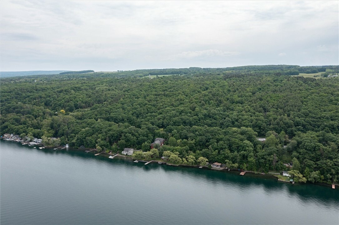 Property Photo: 00 State Route 54 NY 14840