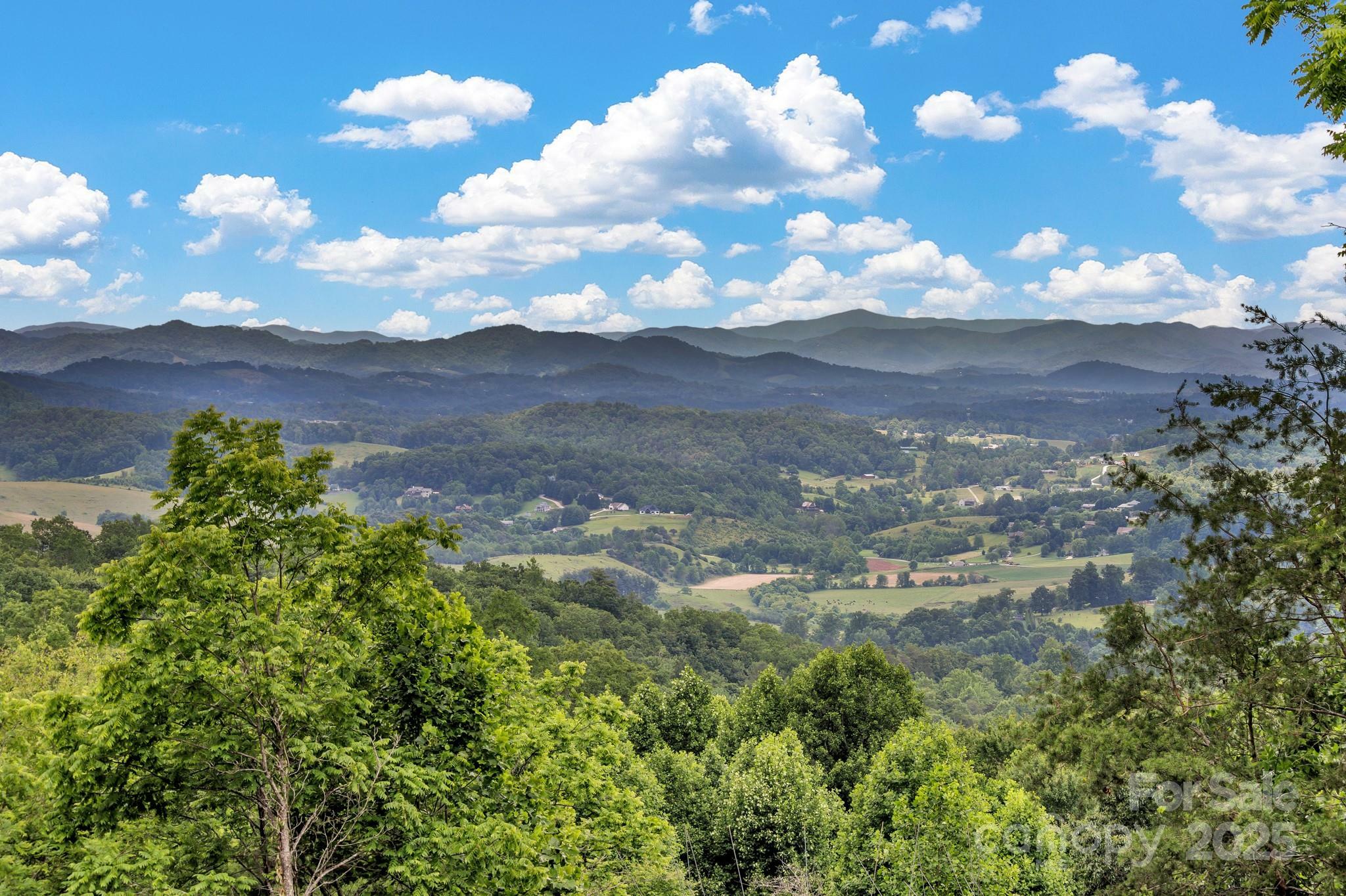 Property Photo: 127 View Ridge Parkway NC 28748