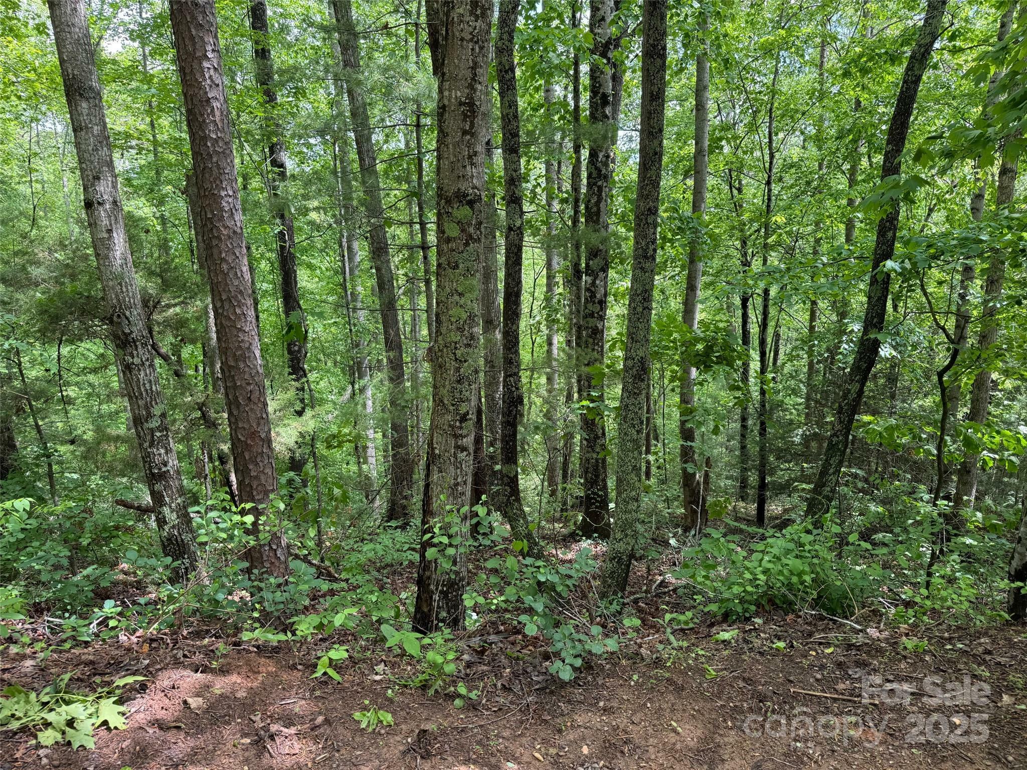 Property Photo: 99999 Morning Star Drive Lot 13 NC 28748