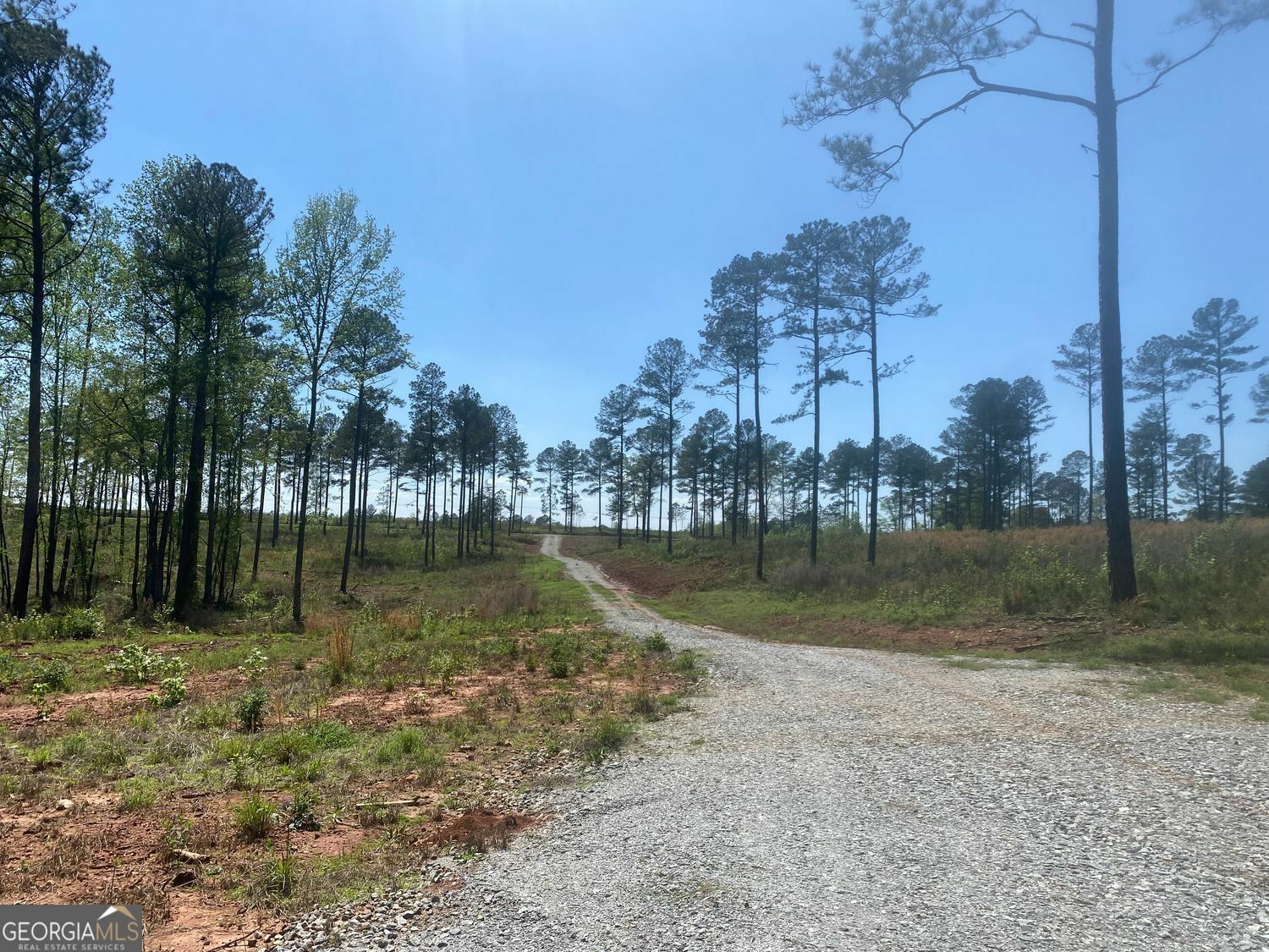 Property Photo: Lot 4 Giles Road GA 31029