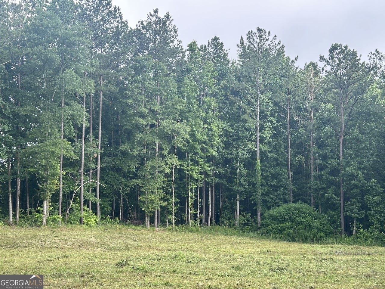 Property Photo: 1949 Roopville Veal Road GA 30170