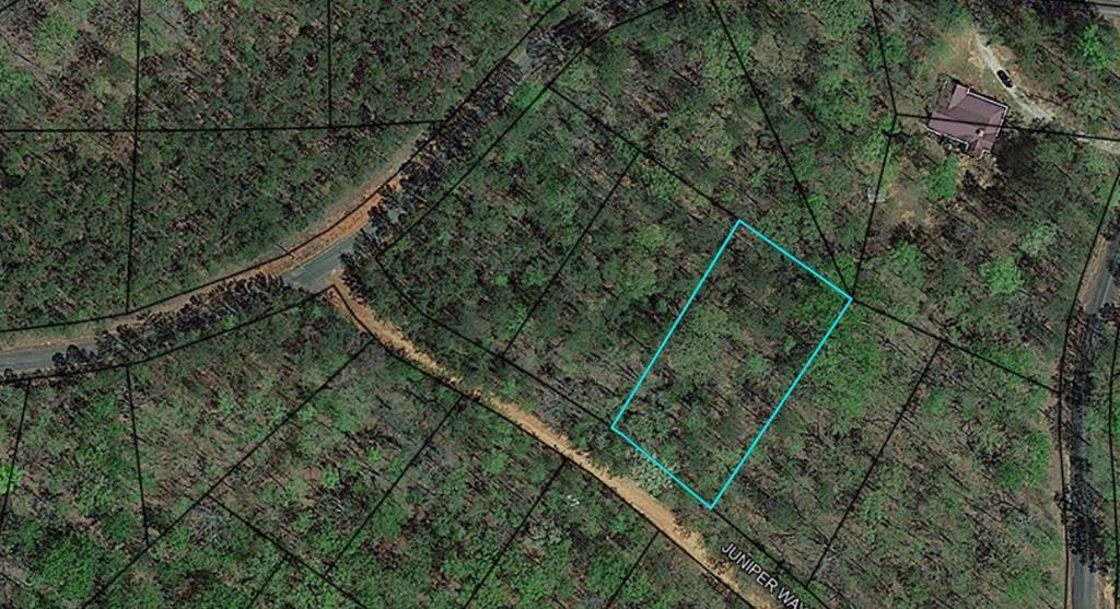 Property Photo:  Blk 33 Lot 06 Juniper Way  GA 31831 