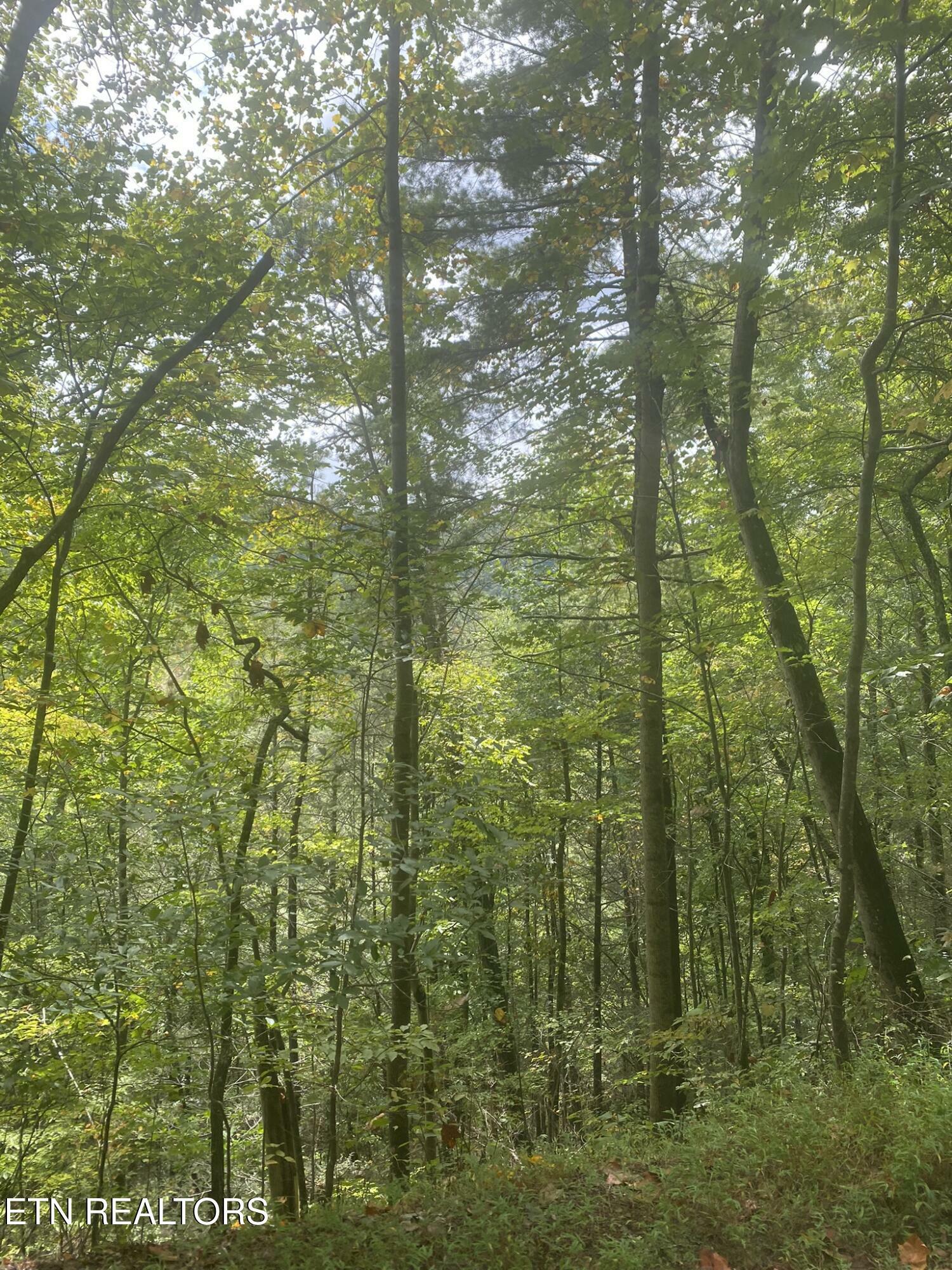 Property Photo: Lot 9 Sunset Rd TN 37876