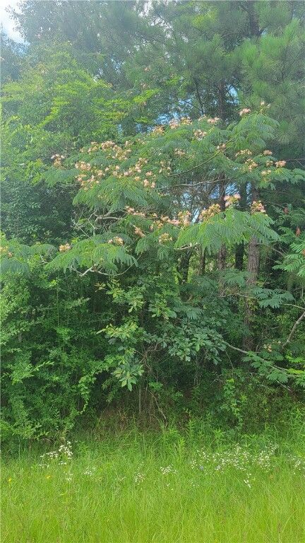 Property Photo: 00 County Road 9 AL 36083