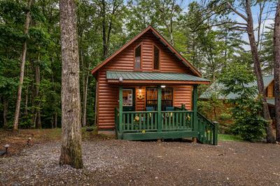 Property Photo: 151 Rushmore Lane NC 28906
