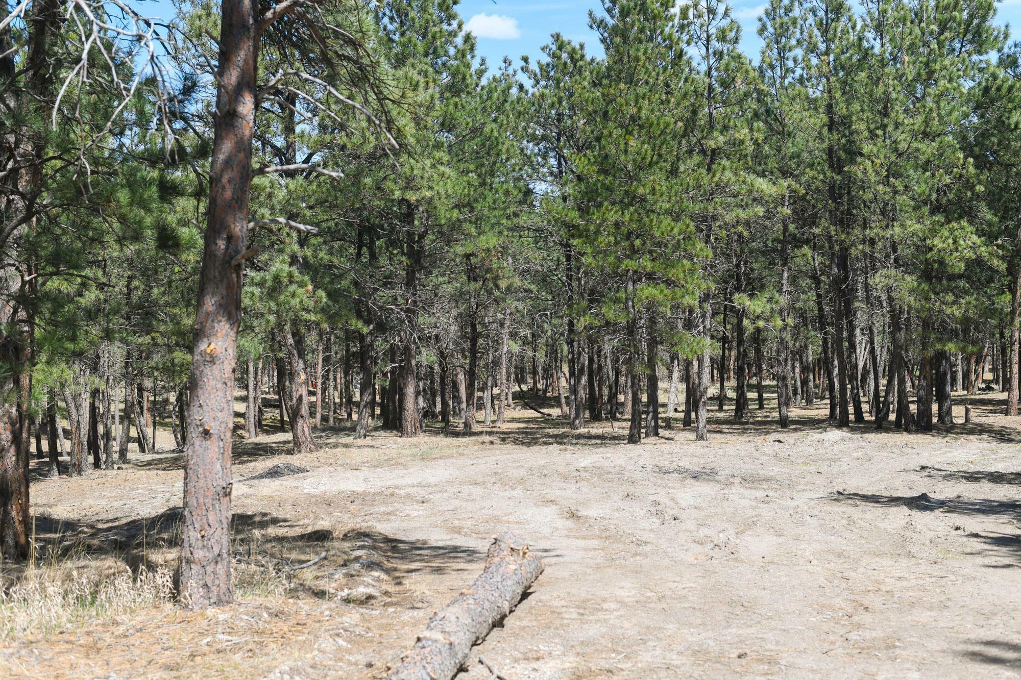 Lot L3  Belle Fourche SD 57717 photo