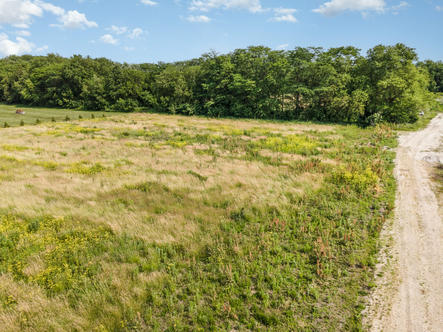 Property Photo: Lot 6 E Grand Ridge Road IL 60444