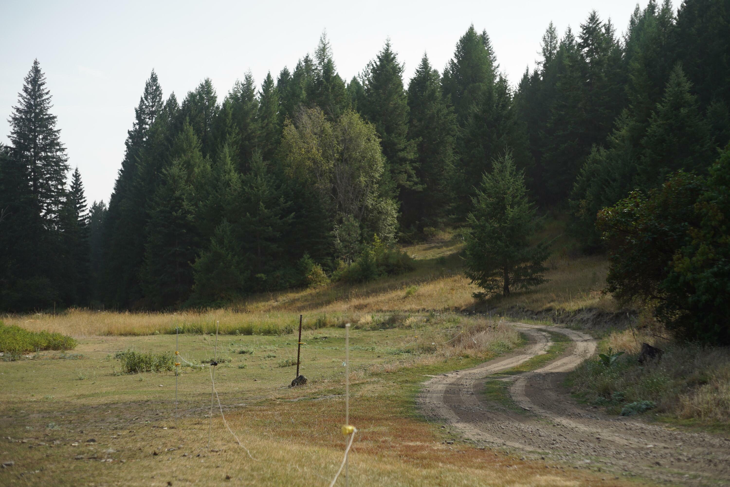 Property Photo:  Tbd Wellman Rd  WA 99166 