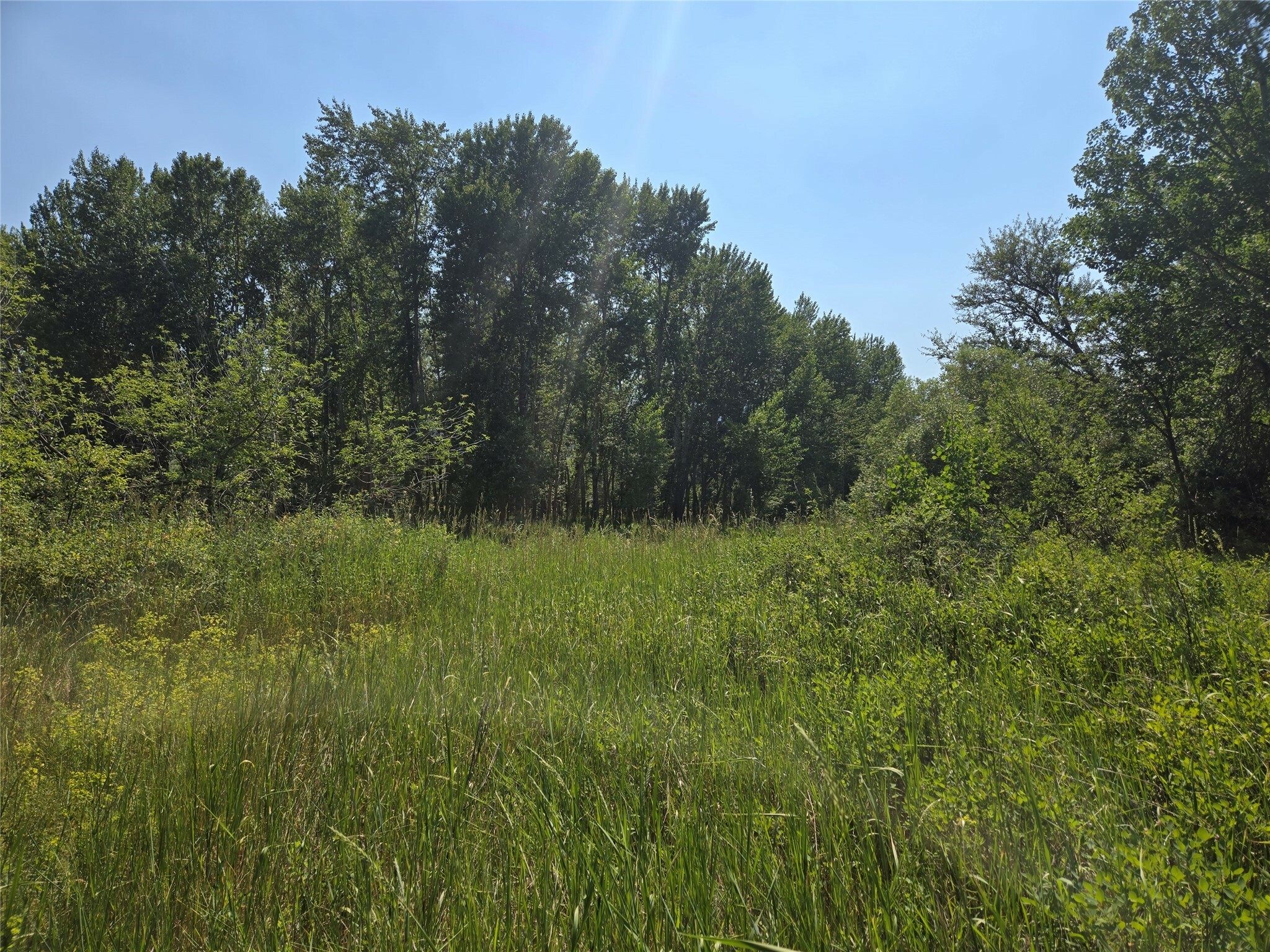 Property Photo: Tbd Kester Lane MT 59847