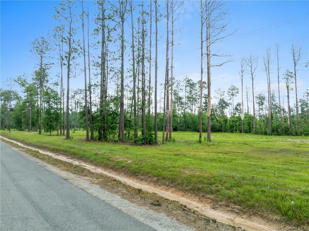 Property Photo: Duke Hollingsworth Rd Tract 4 LA 70657