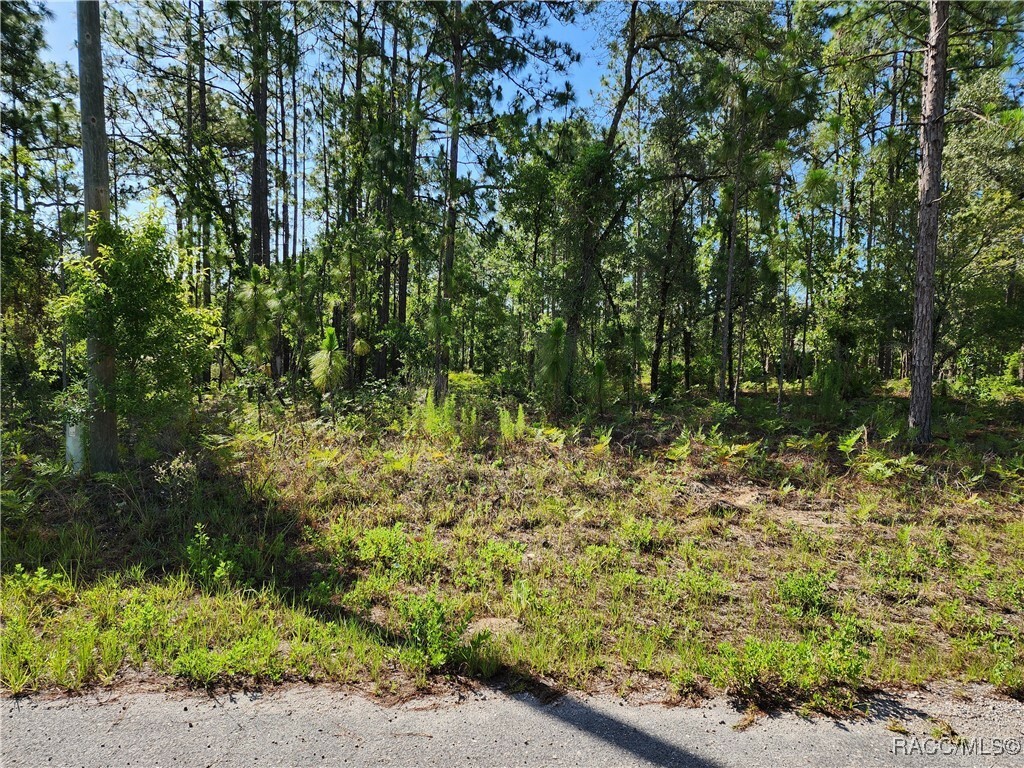 Property Photo: 1476 W Diamond Drive FL 34434