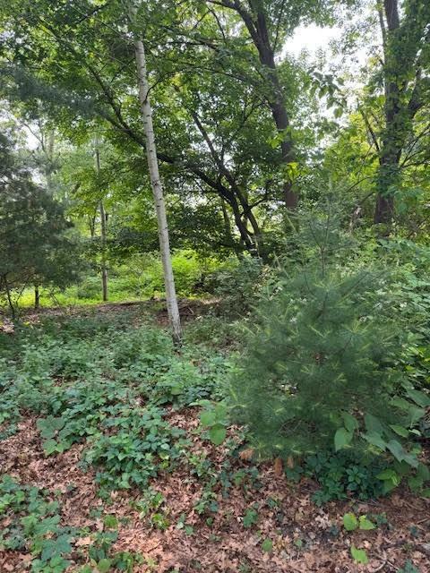 Property Photo: 0 Elmwood Avenue RI 02888