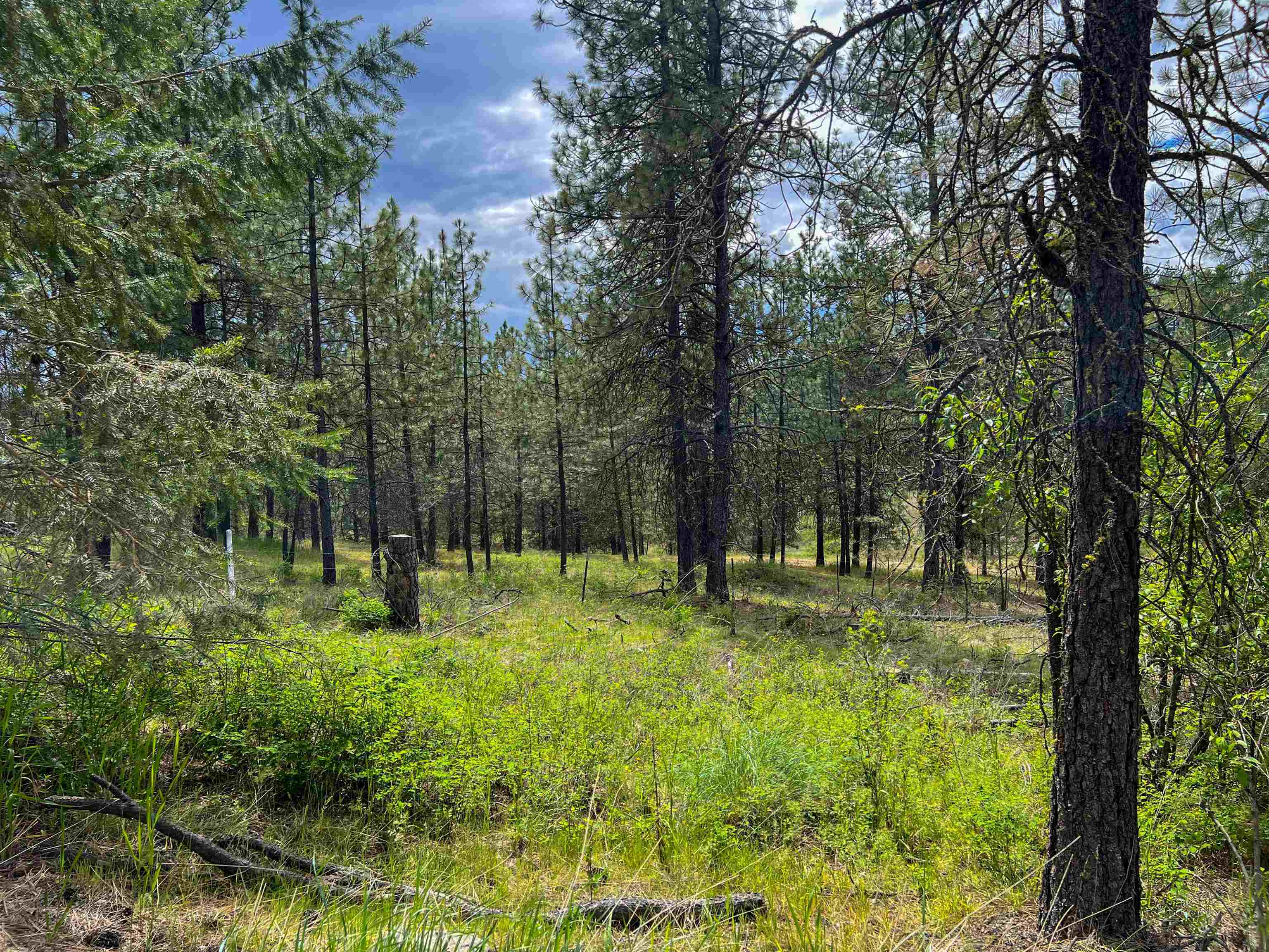 Property Photo: 20xx Clemons Rd WA 99167