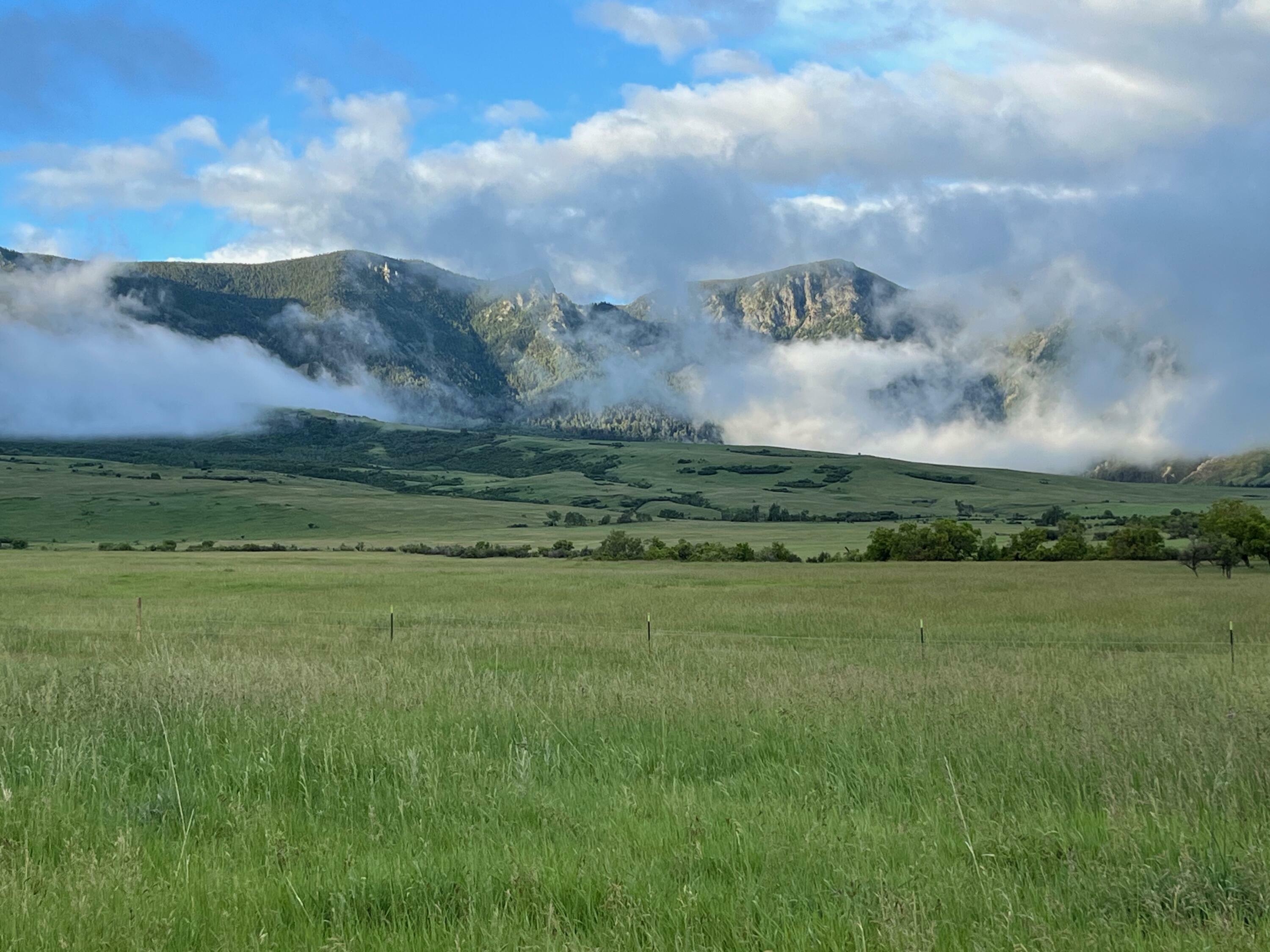 Property Photo: 40.6 Acres Canyon Ranch Road WY 82833