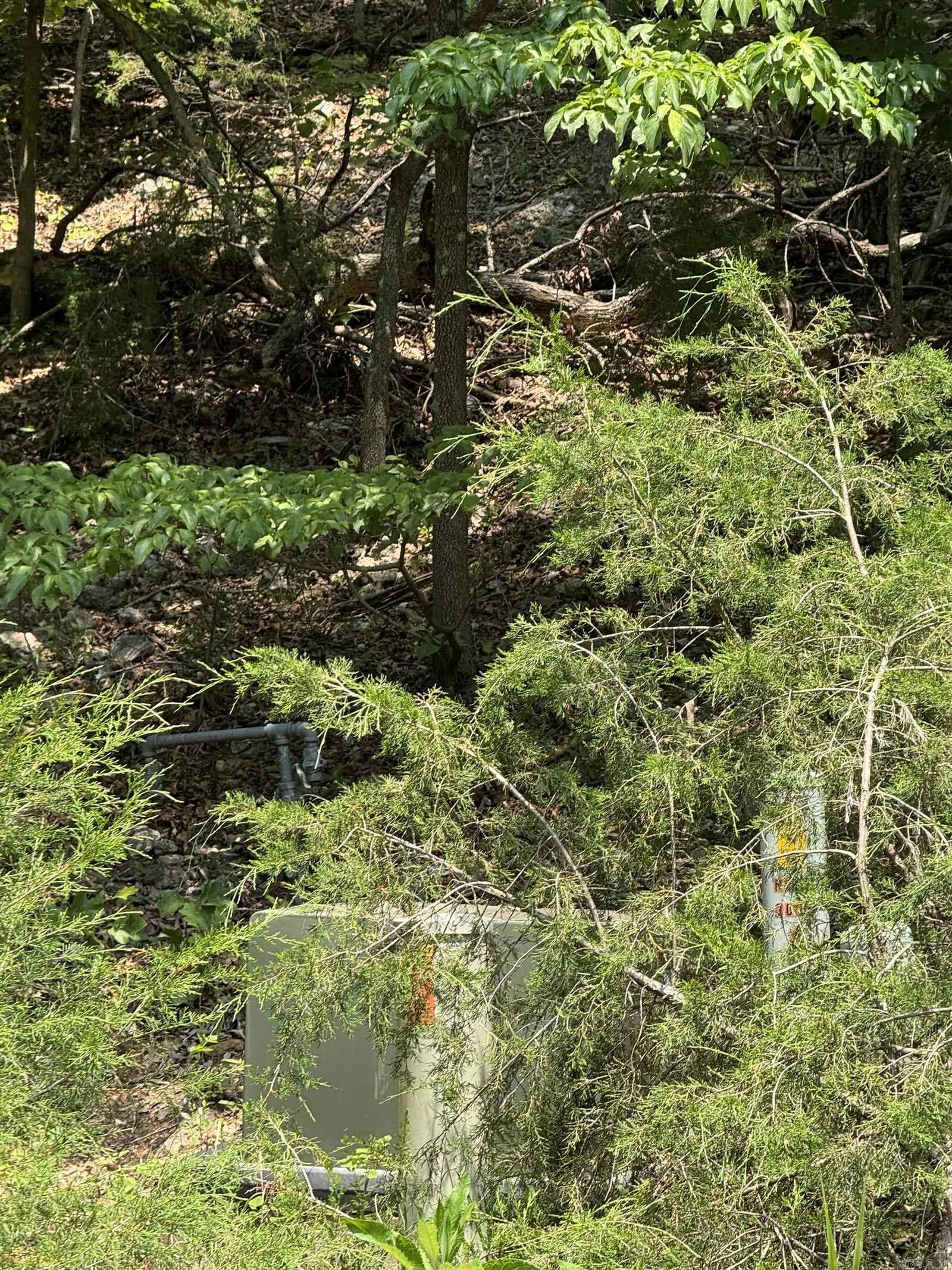 Property Photo: Lots 7 &Amp 8 Oak Glen Drive AR 72653