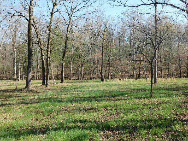Property Photo: 000 Old Military Road AR 72653