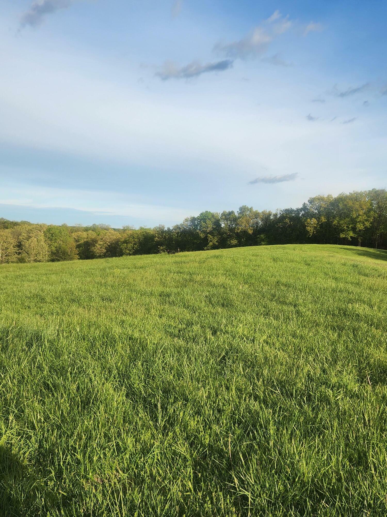 Property Photo: Tract 2 N Barnett School Rd MO 65284