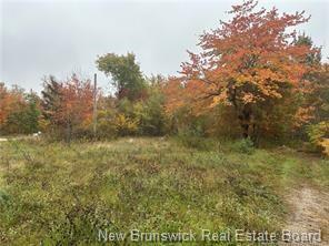 Property Photo: 72 Old Harvey Road NB E6J 1B8