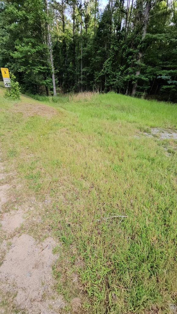 Property Photo: 0 Barnes Mill Road GA 31811