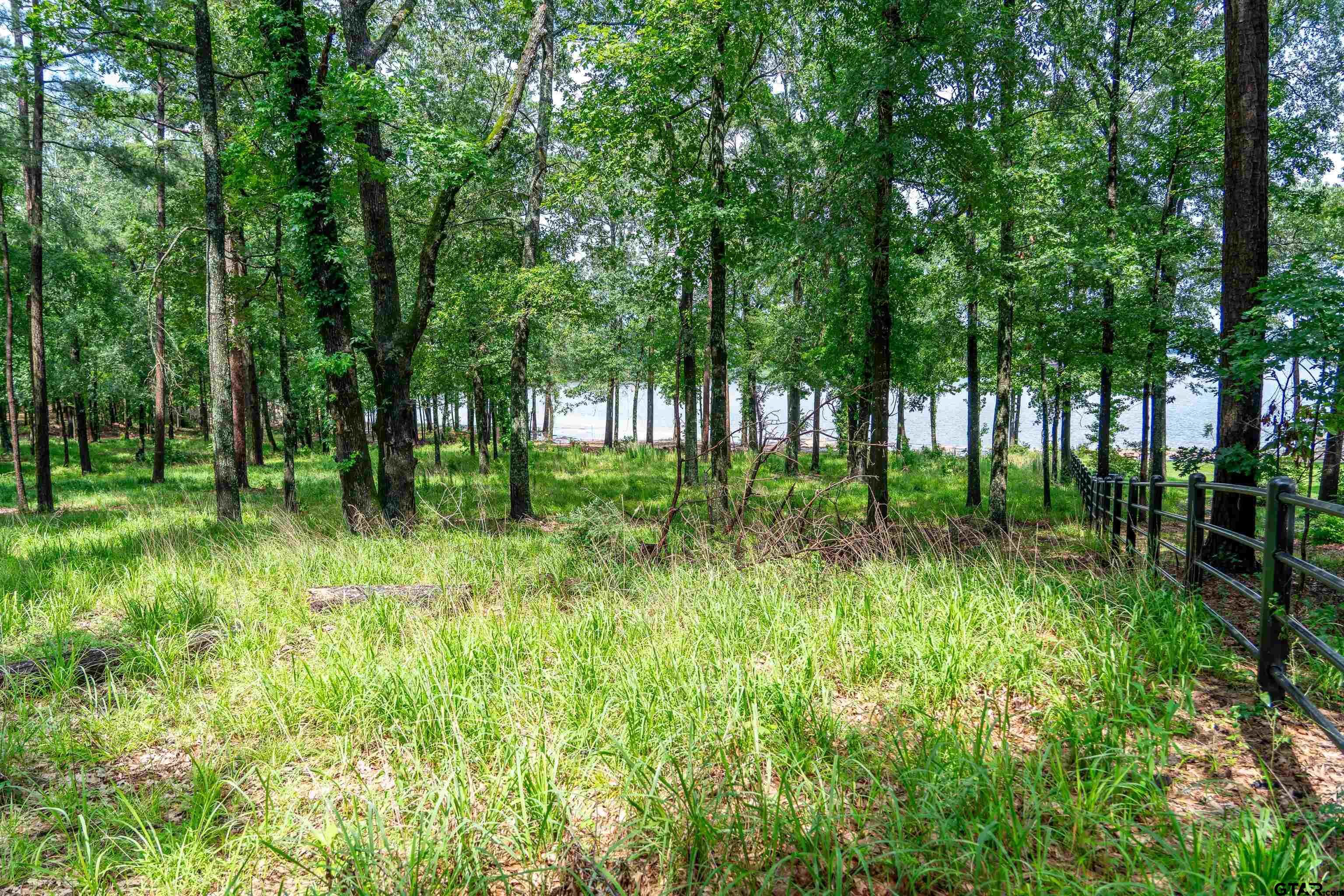 Property Photo: Lot 1 Ezelle Way TX 75480