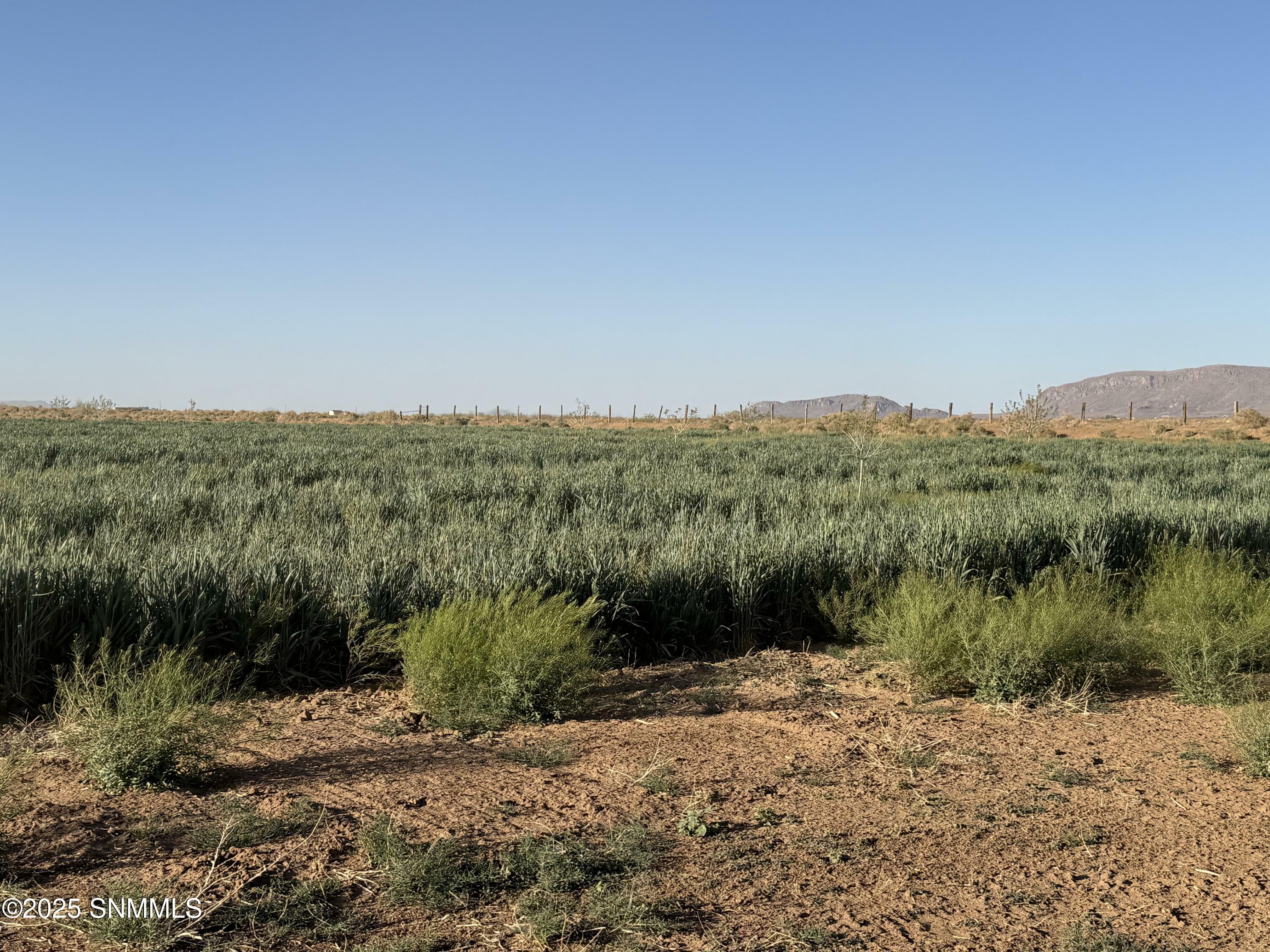 Property Photo:  4789 SE Sunshine Road  NM 88030 