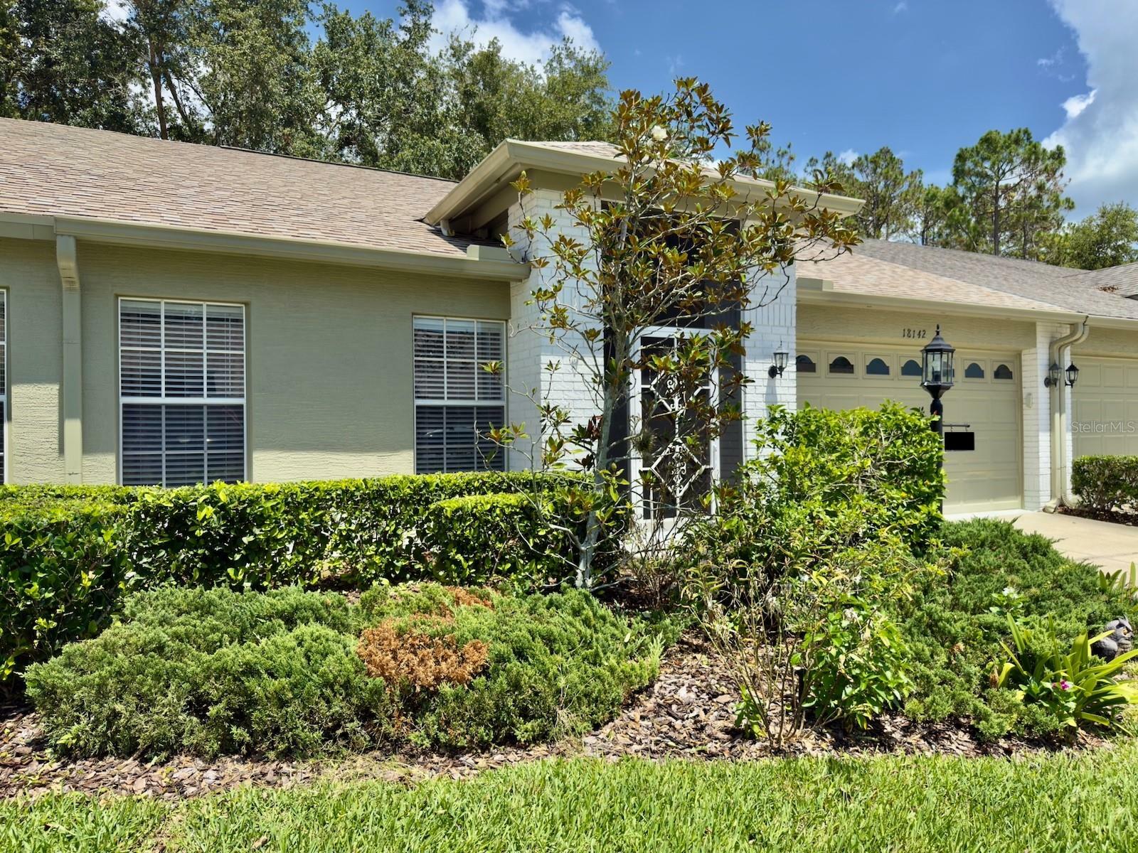 Property Photo: 18142 Baywood Forest Drive FL 34667