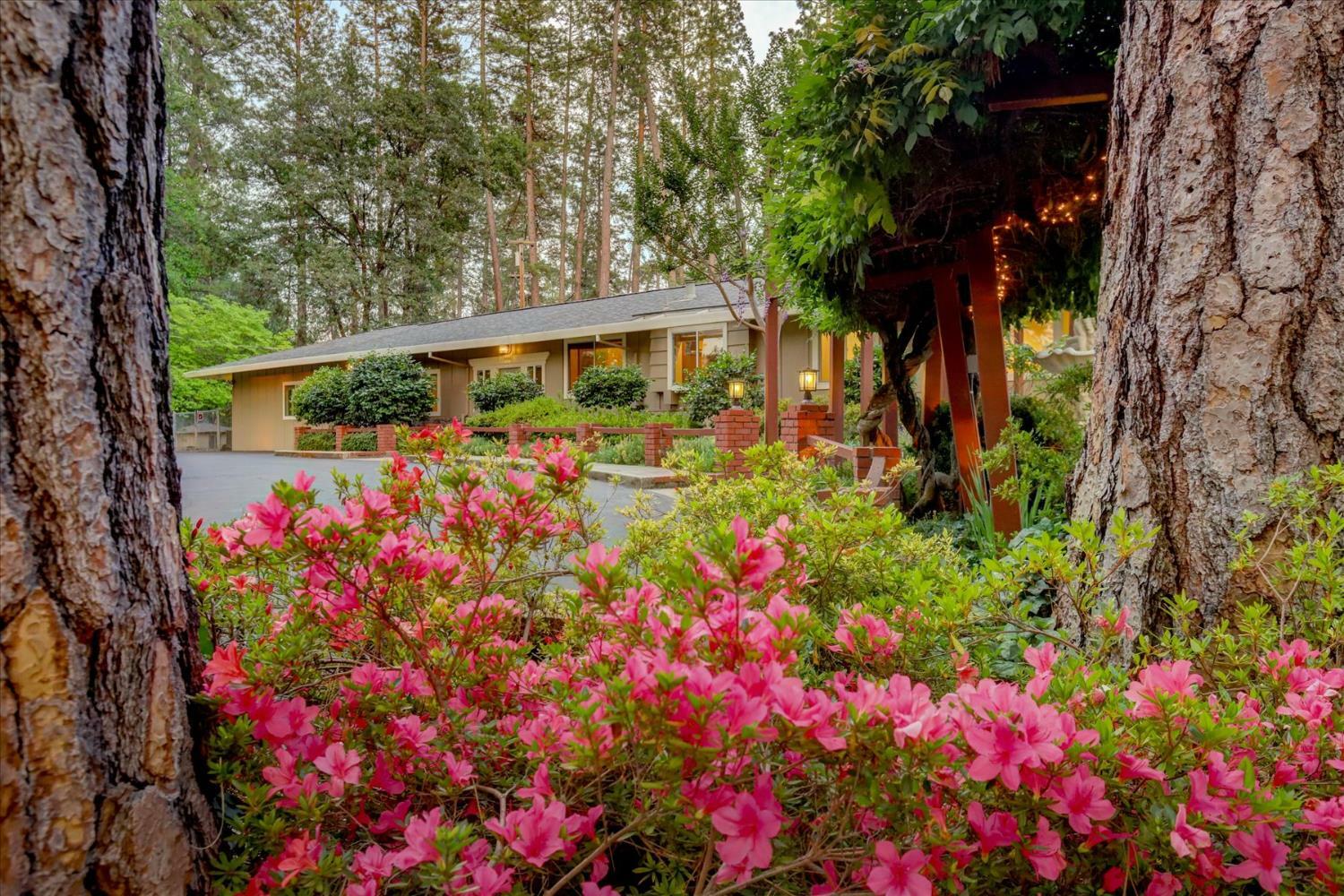 Property Photo: 12827 McCourtney Road CA 95949