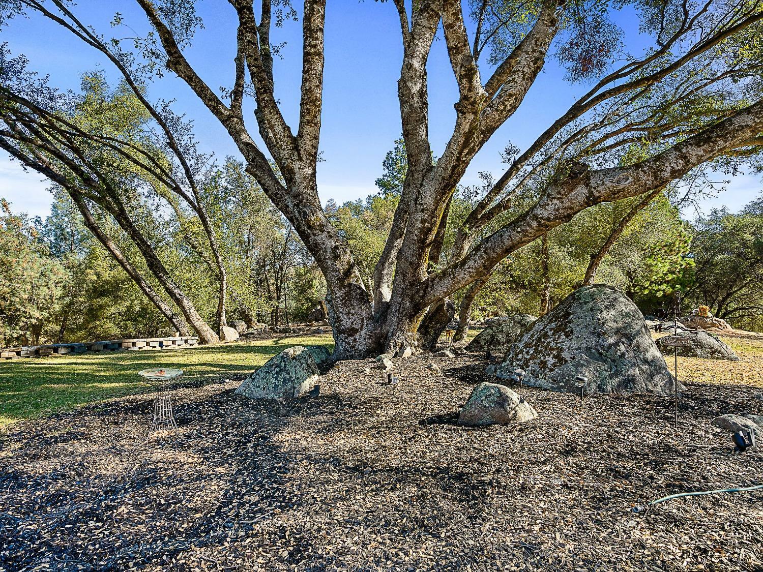 Property Photo: 3102 Squirrel Hollow Rd CA 95684
