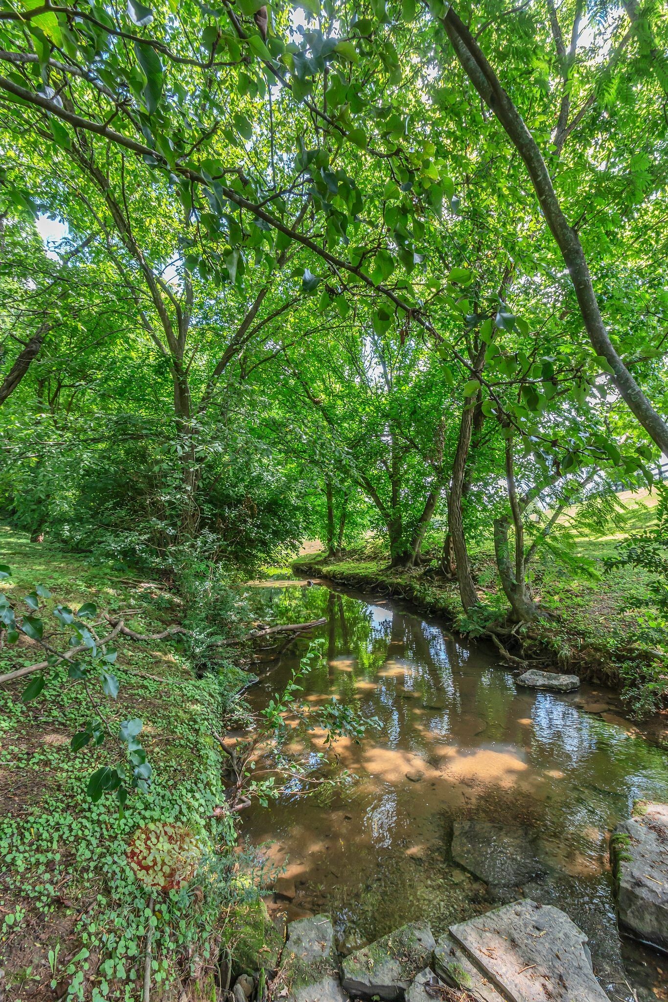 Property Photo: 206 Stillcreek Dr TN 37064