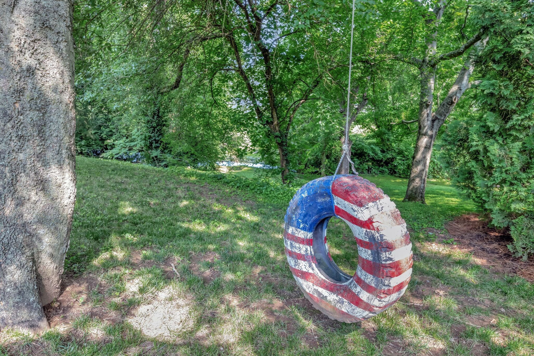Property Photo: 206 Stillcreek Dr TN 37064