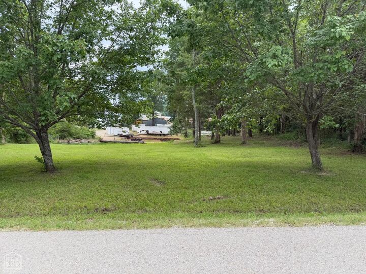 0 Summit Avenue  Bull Shoals AR 72619 photo