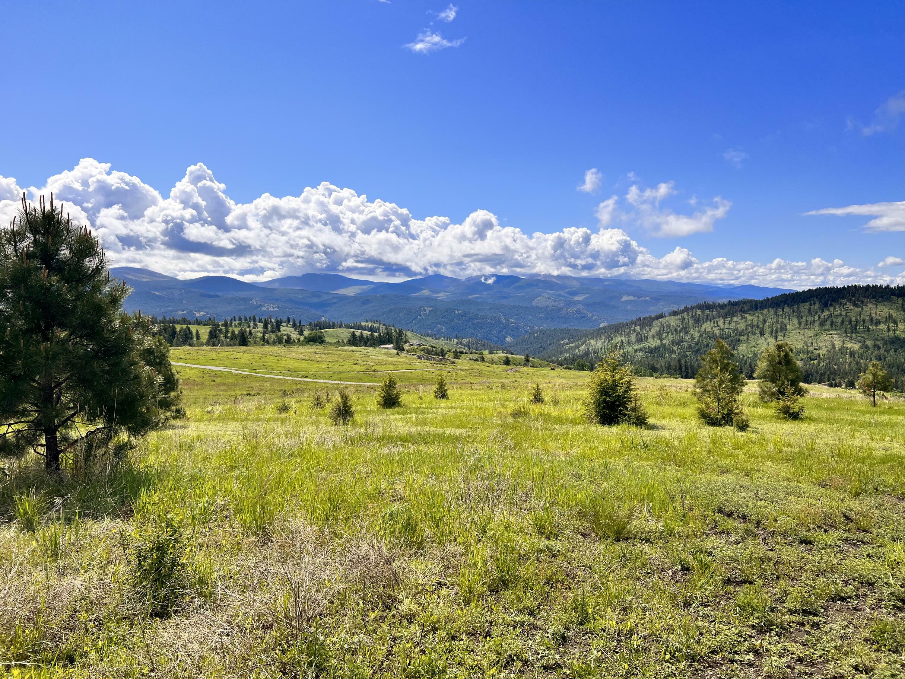 Property Photo: 39 Moonlight Dr WA 99118