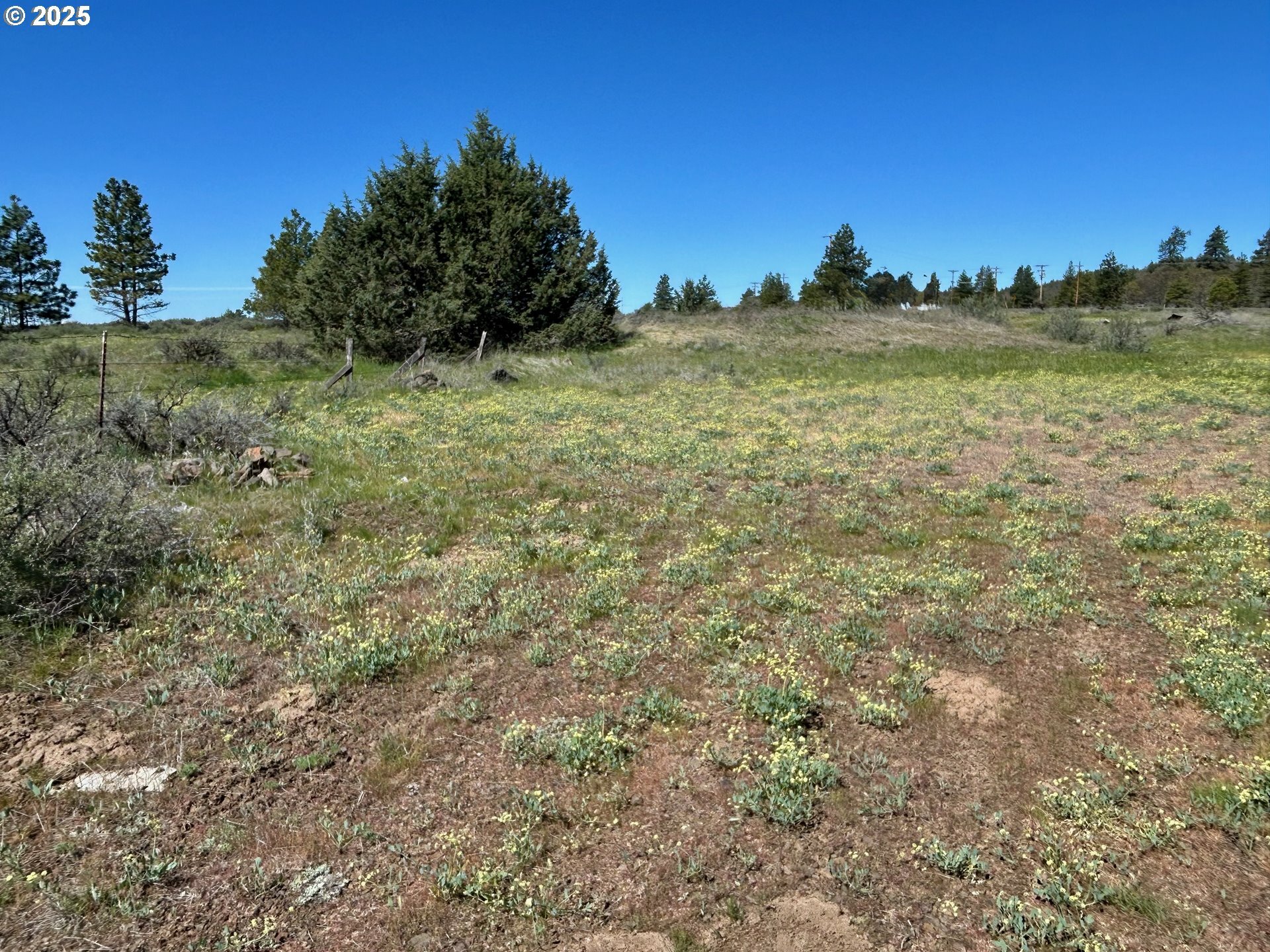 Property Photo: 2 Lots On Pine St WA 99322