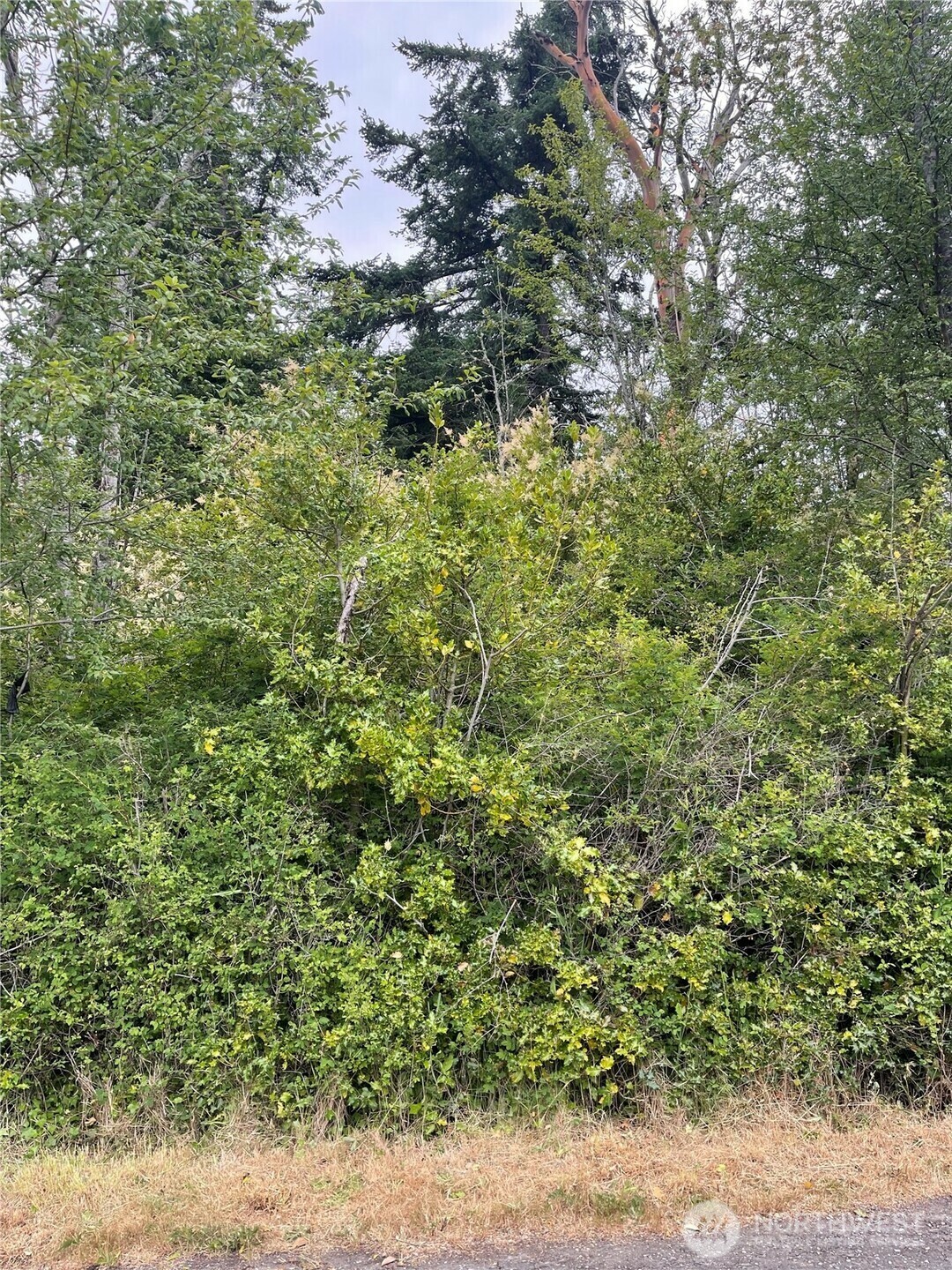 Property Photo:  999  Reed Street  WA 98368 