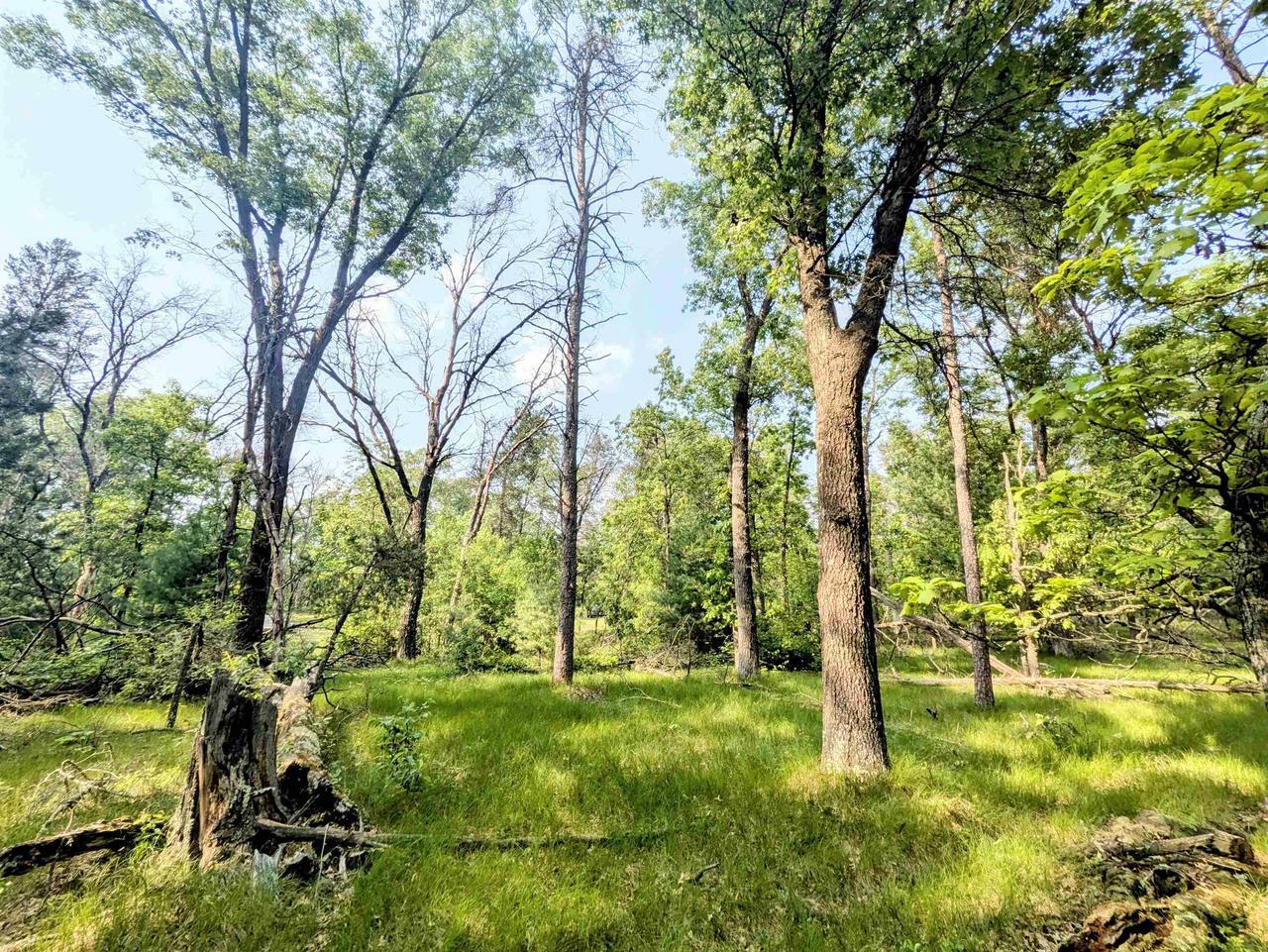 Property Photo: 1325 Chicago Court WI 53934