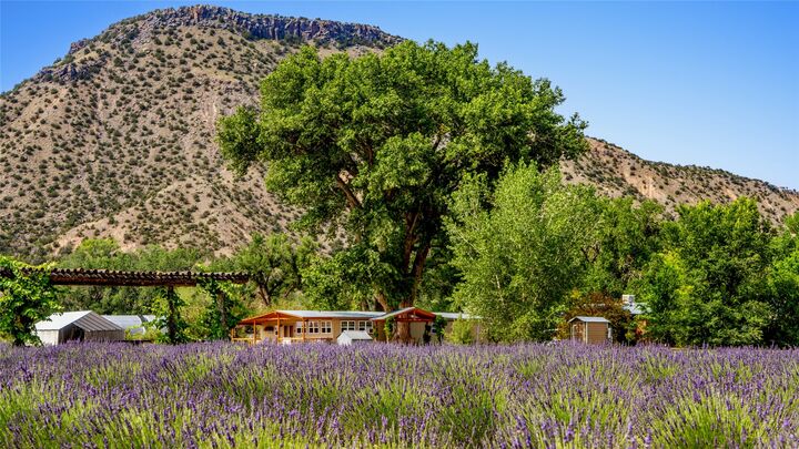 Property Photo:  Purple Adobe Lavender Farm #25 Private Dr  NM 87510 