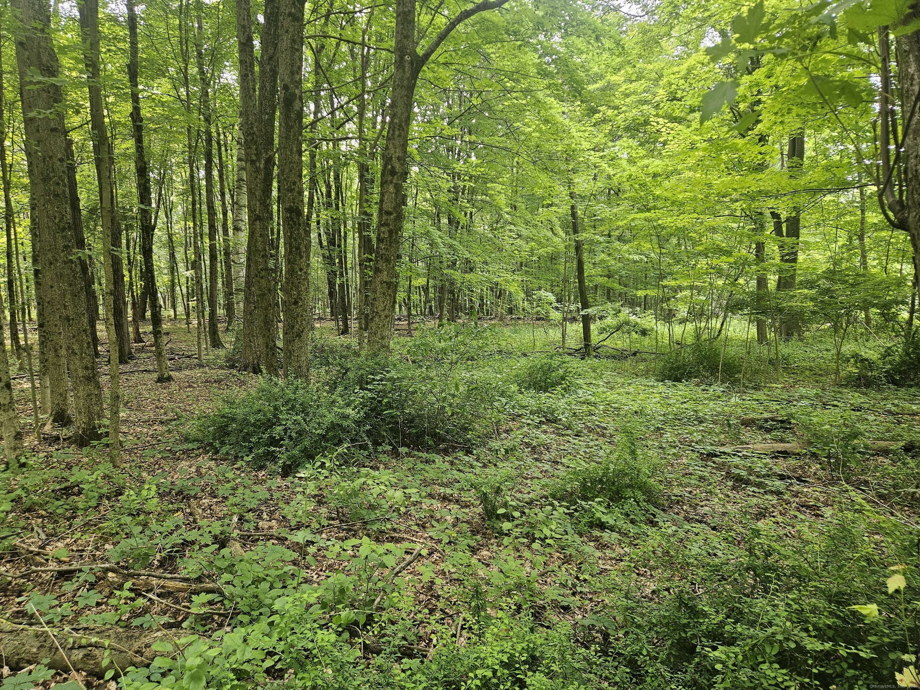 Property Photo: 0 Taylor Road CT 06776