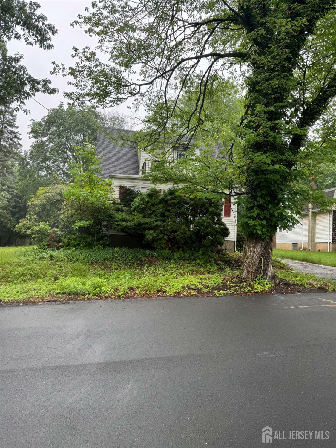 Property Photo: 133 Harding Avenue NJ 08820