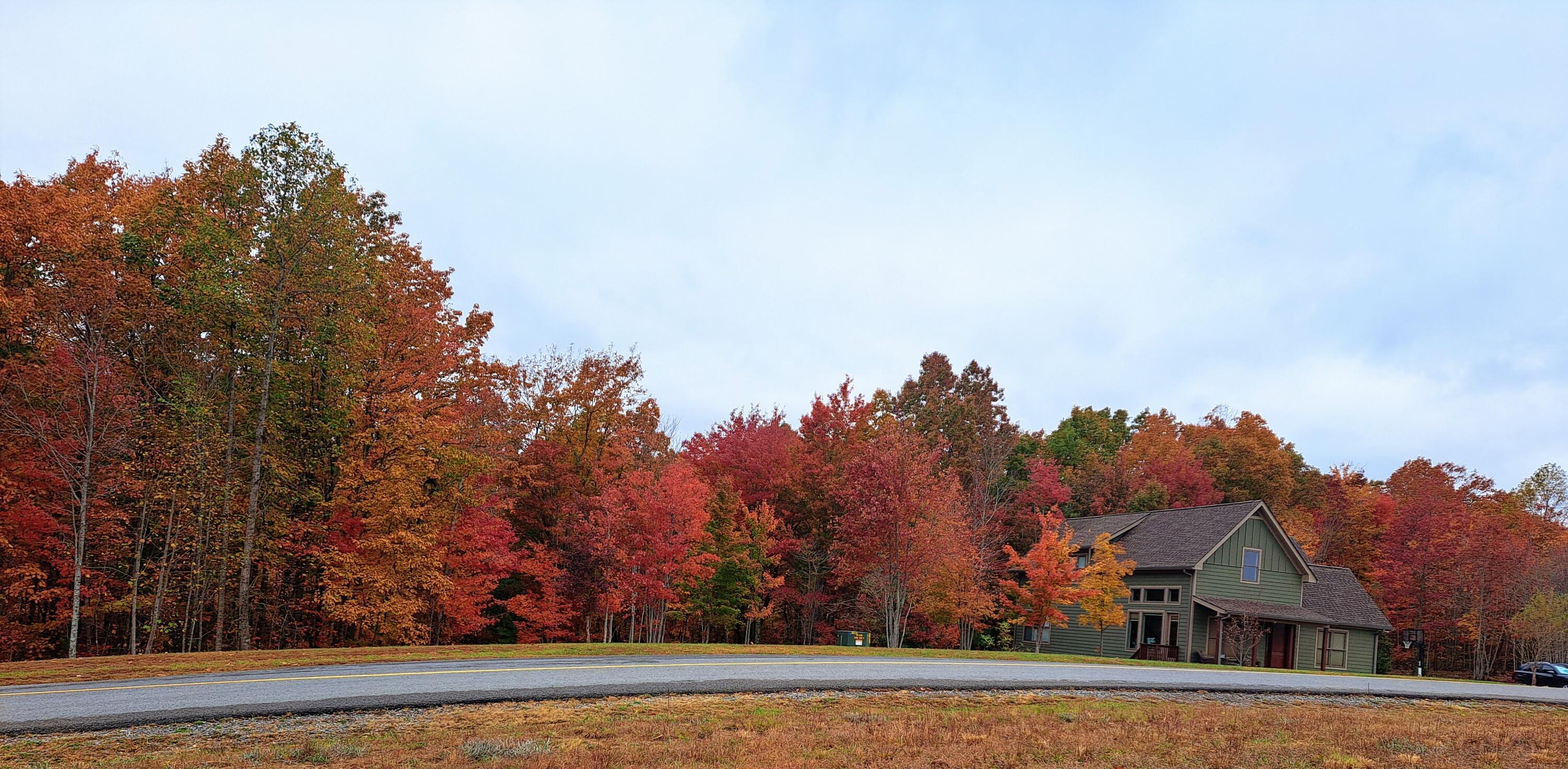 Property Photo: 220 Bear Crawl Road TN 37347