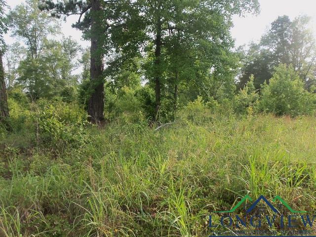 Property Photo: Tbd Whiteside Lane Cr 1127D TX 75662