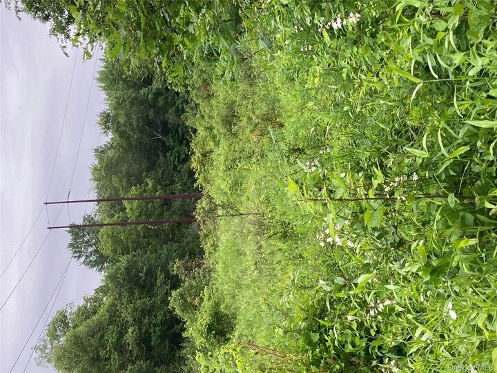 Property Photo:  Baxtertown Road  NY 12524