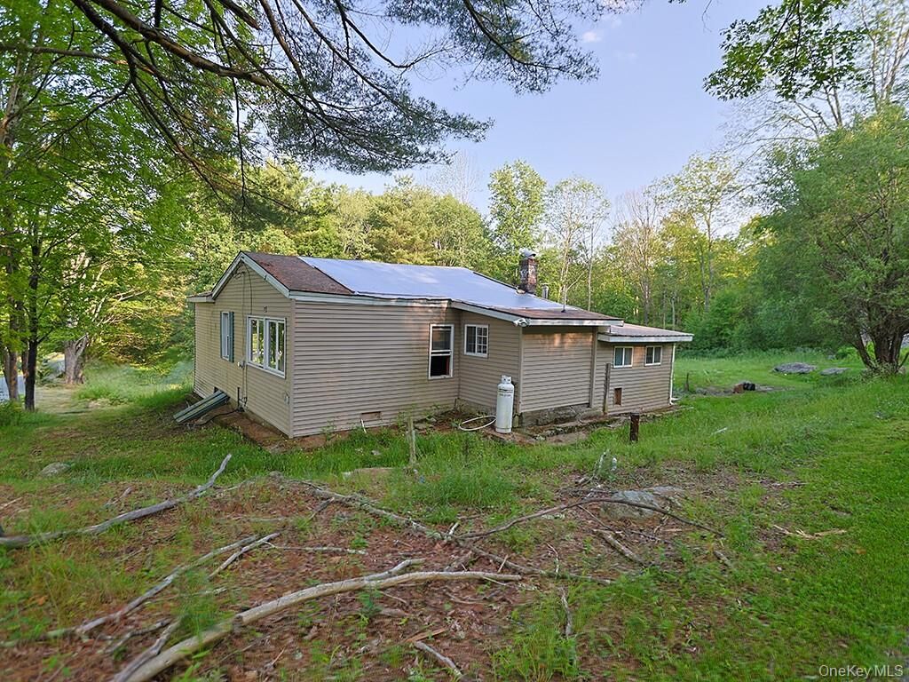 Property Photo:  67 Budd Road  NY 12790