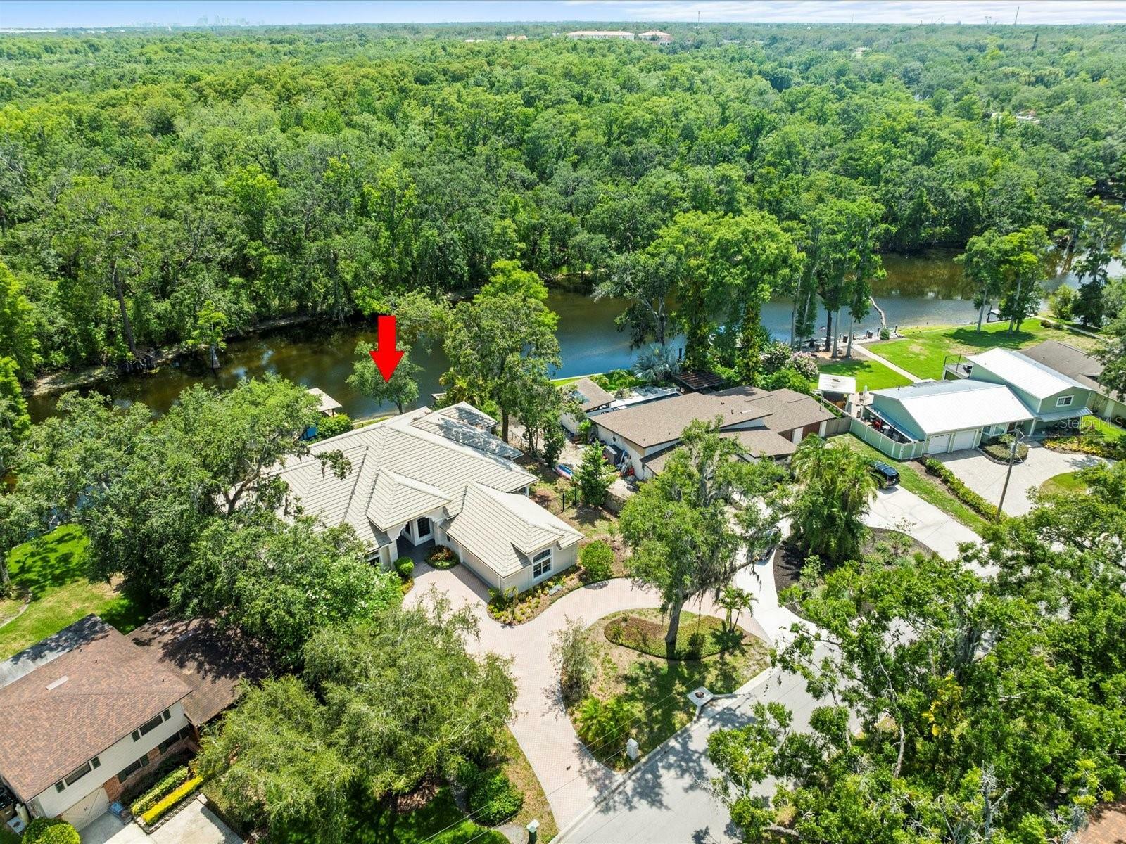 Property Photo: 713 Argyle Place FL 33617